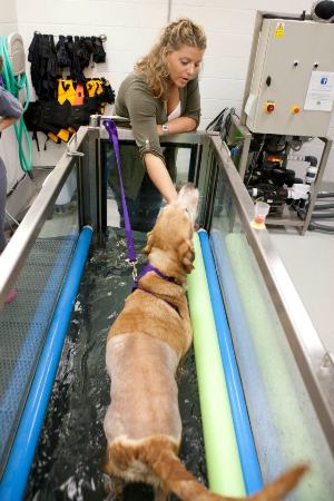 Jack and Mary in the aquatic treadmill Jack and Mary in the aquatic treadmill